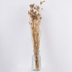 GloboStar® WILDCARROT 36547 Αποξηραμένο Φυτό Άγριο Καρότο - Μπουκέτο Διακοσμητικών Κλαδιών Μπεζ Υ80cm - Σετ 10 τμχ - Image 3