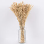 GloboStar® WHEAT 36550 Αποξηραμένο Φυτό Σίτος - Μπουκέτο Διακοσμητικών Κλαδιών Μπεζ Υ60cm - Σετ 100 τμχ - Image 3