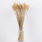 GLOBOSTAR® BARLEY 36551 Αποξηραμένο Διακοσμητικό Μπουκέτο Κριθάρι - Μπεζ - Μ20 x Π20 x Υ60cm - Πακέτο 100 Τεμαχίων - Image 3