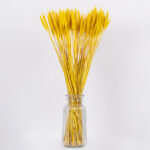 GloboStar® BARLEY 36552 Αποξηραμένο Φυτό Κριθάρι - Μπουκέτο Διακοσμητικών Κλαδιών Μπεζ - Κίτρινο Υ60cm - Σετ 105 τμχ - Image 3