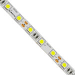 GLOBOSTAR® LUMAR 70020 Ταινία LED 14.4W/m 1440lm/m 120° DC 12V IP20 60 x SMD5050 Chip/m Ψυχρό Λευκό 6000K Dimmable - Sanan SMD Chip - Μ500 x Π1 x Υ0.2cm - Ρολό 5 Μέτρων - 5 Χρόνια Εγγύηση - Image 3