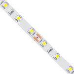 GLOBOSTAR® LILAC 70140 Ταινία LED 6W/m 660lm/m 120° DC 12V IP20 60 x SMD2835 Chip/m Ψυχρό Λευκό 6000K Dimmable - Sanan SMD Chip - Μ500 x Π0.8 x Υ0.1cm - Ρολό 5 Μέτρων - 5 Χρόνια Εγγύηση - Image 3