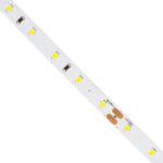 GLOBOSTAR® LILAC 70200 Ταινία LED 6W/m 660lm/m 120° DC 24V IP20 60 x SMD2835 Chip/m Ψυχρό Λευκό 6000K Dimmable - Sanan SMD Chip - Μ500 x Π0.8 x Υ0.1cm - Ρολό 5 Μέτρων - 5 Χρόνια Εγγύηση - Image 3