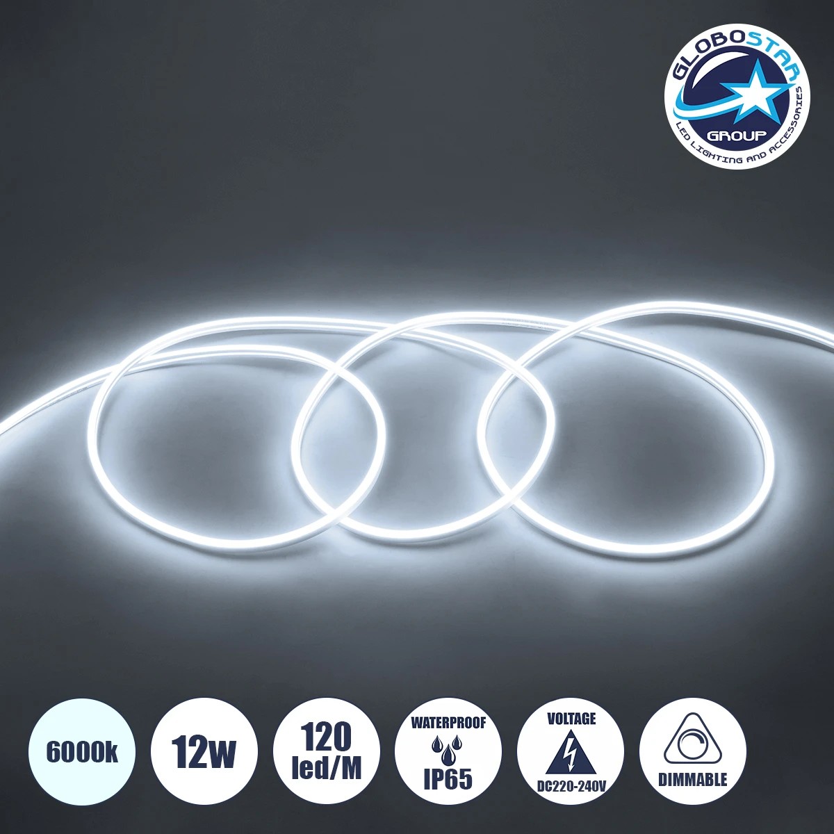 70570_1 GLOBOSTAR® NEOVALE 70570 Ταινία Neon Flex LED 12W/m 1080lm/m 120° DC 220-240V Αδιάβροχο IP65 120 x SMD2835 Chip/m Ψυχρό Λευκό 6000K Dimmable - Sanan SMD Chip - Μ100 x Π0.8 x Υ1.6cm - 3 Χρόνια Εγγύηση - Image 1