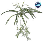 GloboStar® SPIDER PLANT 78217 Τεχνητό Φυτό Χλωρόφυτο - Μπουκέτο Διακοσμητικών Φυτών - Κλαδιών με Φύλλωμα Πράσινο - Κίτρινο - Λευκό Υ60cm