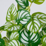 GloboStar® PEPEROMIA L.GREEN 78220 Τεχνητό Φυτό Πεπερόμια Αν.Πρ. - Μπουκέτο Διακοσμητικών Φυτών - Κλαδιών με Φύλλωμα Πράσινο - Κίτρινο - Λευκό Υ28cm - Image 2