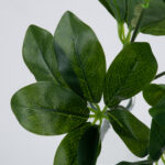 GloboStar® SCHEFFLERA 78222 Τεχνητό Φυτό Σεφλέρα - Μπουκέτο Διακοσμητικών Φυτών - Κλαδιών με Φύλλωμα Πράσινο Υ30cm - Image 2