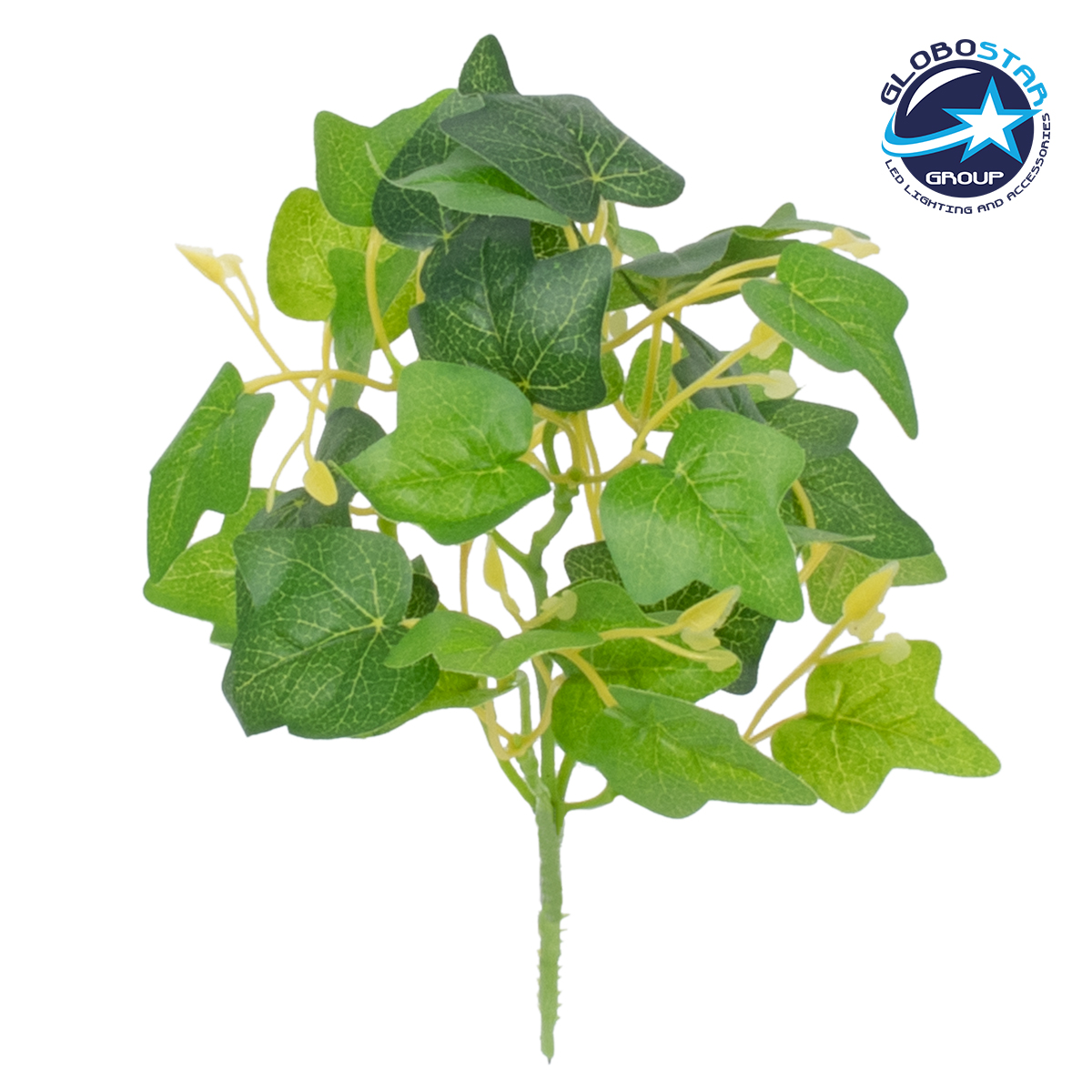 78232_1 GloboStar® CANARIAN IVY 78232 Τεχνητό Φυτό Κισσός Καναρίων - Μπουκέτο Διακοσμητικών Φυτών - Κλαδιών με Φύλλωμα Πράσινο Υ25cm - Image 1