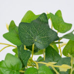 GloboStar® CANARIAN IVY 78232 Τεχνητό Φυτό Κισσός Καναρίων - Μπουκέτο Διακοσμητικών Φυτών - Κλαδιών με Φύλλωμα Πράσινο Υ25cm - Image 2