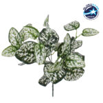 GloboStar® POLKA DOT PLANT 78259 Τεχνητό Φυτό Πόλκα - Μπουκέτο Διακοσμητικών Φυτών - Κλαδιών με Φύλλωμα Πράσινο - Λευκό Υ33cm