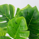 GloboStar® MONSTERA MEDIUM 78261 Τεχνητό Φυτό Μονστέρα Μεσ. - Μπουκέτο Διακοσμητικών Φυτών - Κλαδιών με Φύλλωμα Πράσινο Υ33cm - Image 2