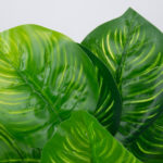 GloboStar® CANNA 78262 Τεχνητό Φυτό Κάννα - Μπουκέτο Διακοσμητικών Φυτών - Κλαδιών με Φύλλωμα Πράσινο Υ30cm - Image 2