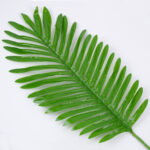 GloboStar® BIG PALM 78264 Τεχνητό Φυτό Φοίνικας Μεγάλος - Μπουκέτο Διακοσμητικών Φυτών - Κλαδιών με Φύλλωμα Πράσινο Υ74cm - Image 2