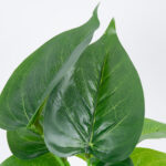GloboStar® POTHOS 78266 Τεχνητό Φυτό Πόθος - Μπουκέτο Διακοσμητικών Φυτών - Κλαδιών με Φύλλωμα Πράσινο Υ28cm - Image 2
