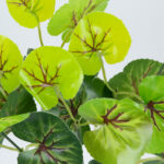 GloboStar® CENTELLA 78267 Τεχνητό Φυτό Σεντέλα - Μπουκέτο Διακοσμητικών Φυτών - Κλαδιών με Φύλλωμα Πράσινο Υ33cm - Image 2