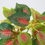 GloboStar® SWEDISH IVY 78270 Τεχνητό Φυτό Σουηδικός Κισσός - Μπουκέτο Διακοσμητικών Φυτών - Κλαδιών με Φύλλωμα Πράσινο - Κόκκινο Υ28cm - Image 2