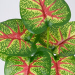 GloboStar® CALADIUM 78271 Τεχνητό Φυτό Καλάδιο - Μπουκέτο Διακοσμητικών Φυτών - Κλαδιών με Φύλλωμα Πράσινο - Κόκκινο - Κίτρινο Υ28cm - Image 2