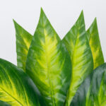 GloboStar® PEACE LILY 78277 Τεχνητό Φυτό Σπαθίφυλλο - Μπουκέτο Διακοσμητικών Φυτών - Κλαδιών με Φύλλωμα Πράσινο - Κίτρινο Υ33cm - Image 2