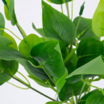 GloboStar® WATER PLANTAIN 78284 Τεχνητό Φυτό Άλισμα - Μπουκέτο Διακοσμητικών Φυτών - Κλαδιών με Φύλλωμα Πράσινο Υ30cm - Image 2