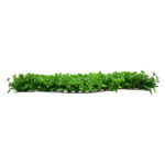 GLOBOSTAR® CLOVER 78411 Τεχνητό Πάνελ Φυλλωσιάς / Κάθετος Κήπος Τριφύλλι & Νάνος Φτέρη - Πράσινο - Μ60 x Π8 x Υ40cm - Image 3