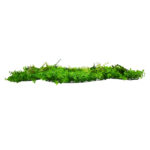 GLOBOSTAR® BUXUS 78412 Τεχνητό Πάνελ Φυλλωσιάς / Κάθετος Κήπος Καυκάσιο Πυξάρι, Φτέρη & Tokyo Sun - Πράσινο - Μ60 x Υ9 x Π40cm - Πράσινο - Μ60 x Υ9 x Π40cm - Image 3