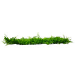 GLOBOSTAR® LEYLAND 78418 Τεχνητό Πάνελ Φυλλωσιάς Κάθετος Κήπος Λέιλαντ/Νάνος Κισσός - Πράσινο - Μ60 x Π9 x Υ40cm - Image 2