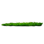 GloboStar® 78419 Artificial - Συνθετικό Τεχνητό Διακοσμητικό Πάνελ Φυλλωσιάς - Κάθετος Κήπος Καυκάσιο Πυξάρι - Φτέρη - Λυσιμαχία Πράσινο Μ60 x Υ40 x Π9cm - Image 2