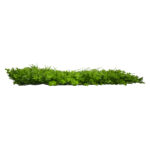 GloboStar® 78420 Artificial - Συνθετικό Τεχνητό Διακοσμητικό Πάνελ Φυλλωσιάς - Κάθετος Κήπος Καυκάσιο Πυξάρι - Λέιλαντ - Γρασίδι Πράσινο Μ60 x Υ40 x Π10cm - Image 2