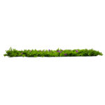 GloboStar® 78421 Artificial - Συνθετικό Τεχνητό Διακοσμητικό Πάνελ Φυλλωσιάς - Κάθετος Κήπος Καυκάσιο Πυξάρι - Απτένια Πράσινο Μ60 x Υ40 x Π8cm - Image 2