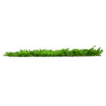 GLOBOSTAR® FERN 78422 Τεχνητό Πάνελ Φυλλωσιάς / Κάθετος Κήπος Βασιλική Φτέρη & Ίληξ - Πράσινο - Μ60 x Π9 x Υ40cm - Image 2