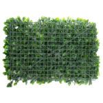 GloboStar® 78425 Artificial - Συνθετικό Τεχνητό Διακοσμητικό Πάνελ Φυλλωσιάς - Κάθετος Κήπος Πεπερομία - Πράσινο Μ60 x Υ40 x Π8cm - Image 4