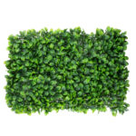 GloboStar® 78425 Artificial - Συνθετικό Τεχνητό Διακοσμητικό Πάνελ Φυλλωσιάς - Κάθετος Κήπος Πεπερομία - Πράσινο Μ60 x Υ40 x Π8cm - Image 2