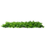 GloboStar® 78426 Artificial - Συνθετικό Τεχνητό Διακοσμητικό Πάνελ Φυλλωσιάς - Κάθετος Κήπος Λέιλαντ - Πράσινο Μ60 x Υ40 x Π9cm - Image 3