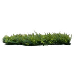 GloboStar® 78427 Artificial - Συνθετικό Τεχνητό Διακοσμητικό Πάνελ Φυλλωσιάς - Κάθετος Κήπος Νάνος Φτέρη - Γιασεμί - Πράσινο Μ60 x Υ40 x Π9cm - Image 3