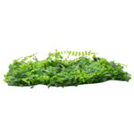 GLOBOSTAR® PEPPEROMIA 78434 Τεχνητό Πάνελ Φυλλωσιάς / Κάθετος Κήπος Πεπερόμια & Ζεβρίνα - Πράσινο - Μ60 x Π9 x Υ40cm - Image 3