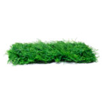 GLOBOSTAR® ALGELICA 78435 Τεχνητό Πάνελ Φυλλωσιάς / Κάθετος Κήπος Φύλλα Αγγελικής - Πράσινο - Μ60 x Π8 x Υ50cm - Image 5