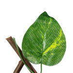 GloboStar® Artificial Garden GOLDEN POTHOS 78496 Πτυσσόμενη Πέργκολα Τεχνητής Φυλλωσιάς - Κάθετος Κήπος Σύνθεση Πόθος Μ110 x Π10 x Υ120cm (min) Μ310 x Π10 x Υ45cm (max) - Image 4