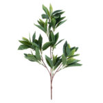 GloboStar® Artificial Garden LAURUS NOBILIS BRANCH 20225 10 x Τεχνητά Διακοσμητικά Κλαδία Δάφνης Π45 x Υ60cm - Image 3