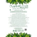 GloboStar® Artificial Garden ALMOND TREE 21114 Τεχνητό Διακοσμητικό Δέντρο Αμυγδαλιά Μ380 x Π380 x Υ300cm - Image 6