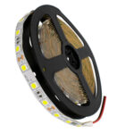 GLOBOSTAR® LUMAR 70020 Ταινία LED 14.4W/m 1440lm/m 120° DC 12V IP20 60 x SMD5050 Chip/m Ψυχρό Λευκό 6000K Dimmable - Sanan SMD Chip - Μ500 x Π1 x Υ0.2cm - Ρολό 5 Μέτρων - 5 Χρόνια Εγγύηση - Image 2