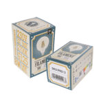 GLOBOSTAR® BUBBLE 99013 Λάμπα E27 G125 LED 8W 800lm 360° AC 220-240V IP20 Θερμό Λευκό 2700K Dimmable - Long Filament Chip - Διάφανο - Μ12.5 x Π12.5 x Υ18cm - 3 Χρόνια Εγγύηση - Image 6