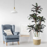GloboStar® Artificial Garden MELANY FICUS 20041 Τεχνητό Διακοσμητικό Φυτό Φίκος Υ170cm - Image 5