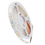 GLOBOSTAR® LILAC 70140 Ταινία LED 6W/m 660lm/m 120° DC 12V IP20 60 x SMD2835 Chip/m Ψυχρό Λευκό 6000K Dimmable - Sanan SMD Chip - Μ500 x Π0.8 x Υ0.1cm - Ρολό 5 Μέτρων - 5 Χρόνια Εγγύηση - Image 2