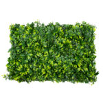 GloboStar® 78406 Artificial - Συνθετικό Τεχνητό Διακοσμητικό Πάνελ Φυλλωσιάς - Κάθετος Κήπος Τριφύλλι - Νάνος Δάφνη - Περεσκία Πράσινο Μ60 x Υ40 x Π8cm - Image 2