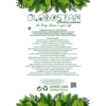 GloboStar® Artificial Garden ORANGE TULIP BRANCH 21308 Τεχνητό Διακοσμητικό Κλαδί Πορτοκαλί Τουλίπα Y48cm - Image 5