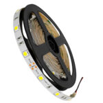 GloboStar® 70010 Ταινία LED SMD 5050 5m 7.2W/m 30LED/m 792lm/m 120° DC 12V IP20 Ψυχρό Λευκό 6000K - Image 2