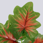 GloboStar® CALADIUM S-78271 Τεχνητό Φυτό Καλάδιο - Μπουκέτο Διακοσμητικών Φυτών - Κλαδιών με Φύλλωμα Πράσινο - Κόκκινο - Κίτρινο Υ28cm - Image 2