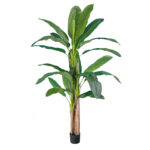 GloboStar® Artificial Garden BANANA TREE 20018 - Τεχνητό Διακοσμητικό Φυτό Μπανανιά - Μπανανόδεντρο Υ240cm - Image 2