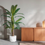 GloboStar® Artificial Garden BANANA TREE 20018 - Τεχνητό Διακοσμητικό Φυτό Μπανανιά - Μπανανόδεντρο Υ240cm - Image 6