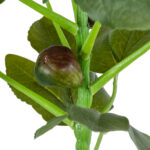GloboStar® Artificial Garden FIG TREE 20380 Τεχνητό Διακοσμητικό Φυτό Συκιά Υ50cm - Image 4